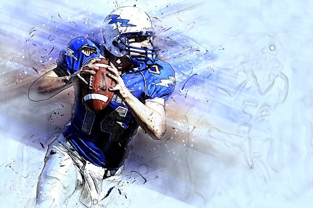 要的区域 要的区域