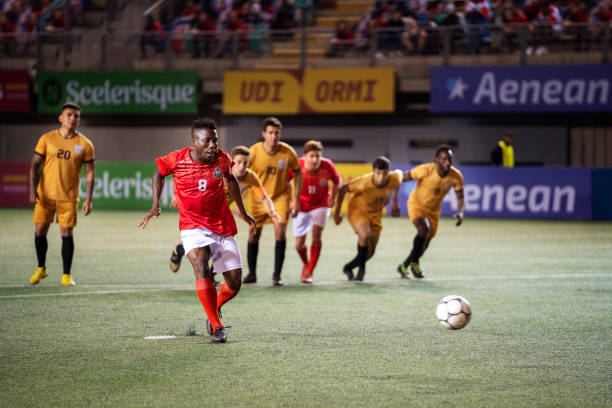 弟媳和队友 弟媳和队友